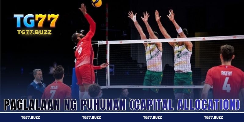 Paglalaan ng Puhunan (Capital Allocation)