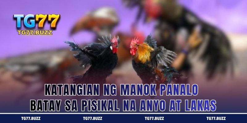 Katangian ng Manok Panalo Batay sa Pisikal na Anyo at Lakas