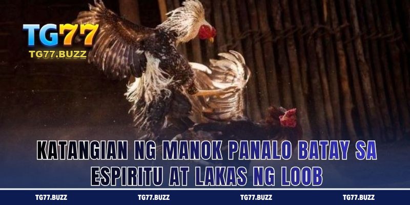 Katangian ng Manok Panalo Batay sa Espiritu at Lakas ng Loob