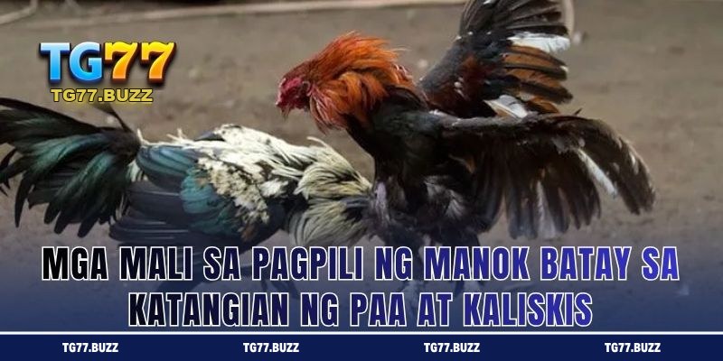 Mga Mali sa Pagpili ng Manok Batay sa Katangian ng Paa at Kaliskis