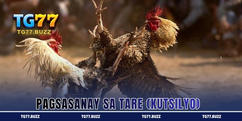 Pagsasanay sa Tare (Kutsilyo)