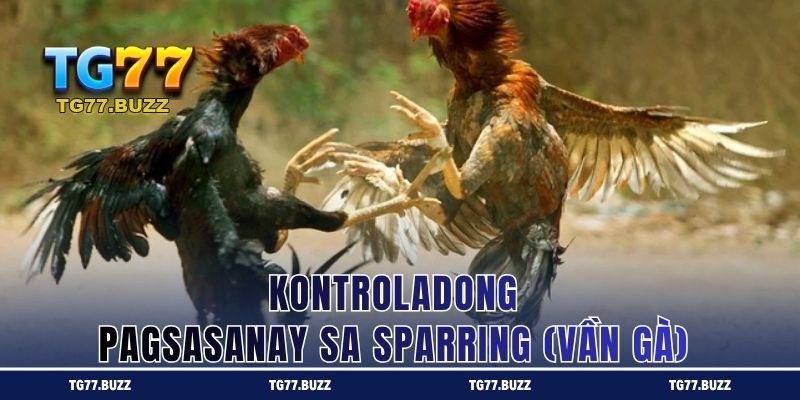 Kontroladong pagsasanay sa sparring