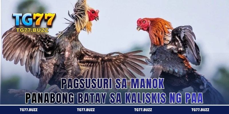 Pagsusuri sa Manok Panabong Batay sa Kaliskis ng Paa