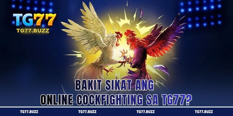 Bakit Sikat ang Online Cockfighting sa TG77?